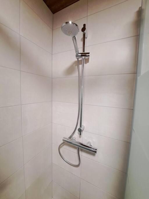Zanier Apartment Gaissau (Bregenz)