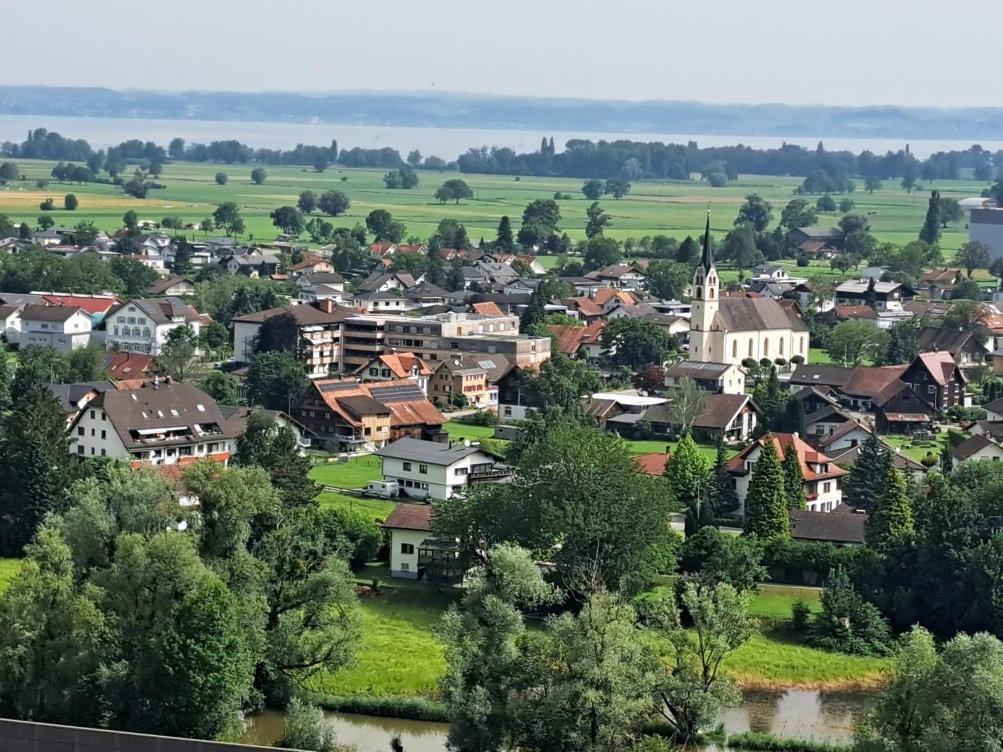 Zanier